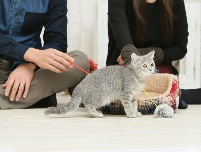 最適なプラン選択をご提案する事も可能です
