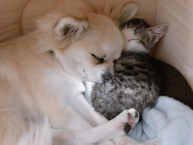 安心をお届けします
